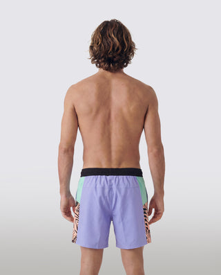 RIDGE LILAC BOARDWALKS - WERIDELOCAL