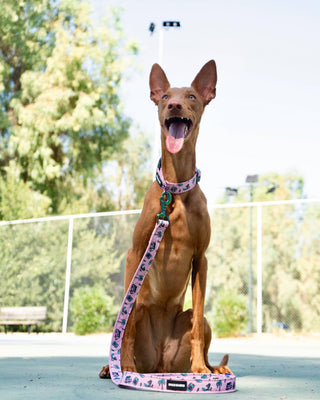 BARK RIDERS PINK DOG LEASH